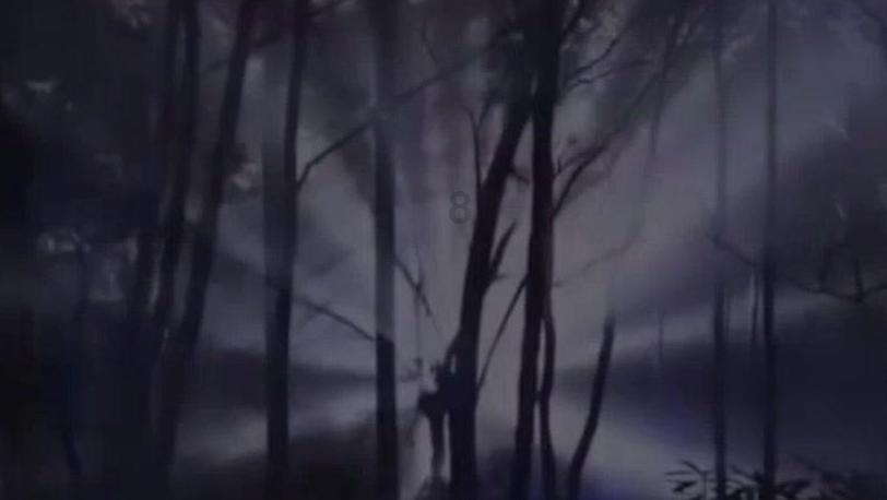 深圳直播经济点燃商圈