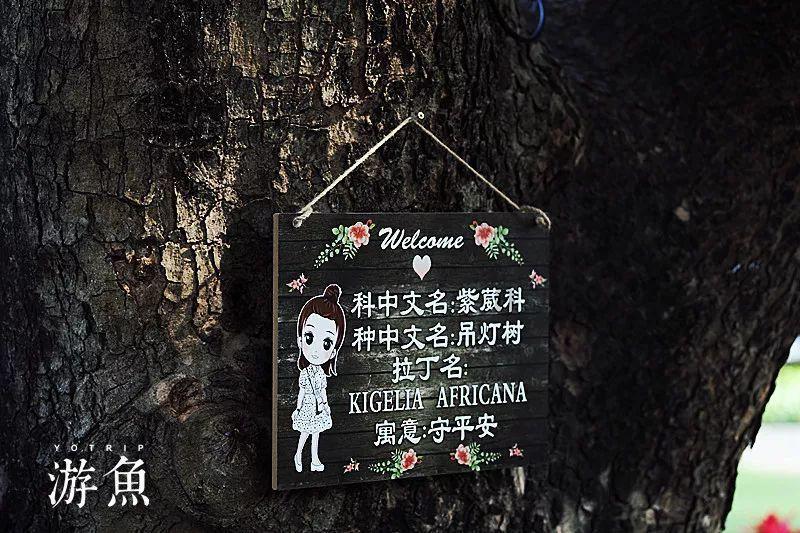 沮丧的英文游戏画面