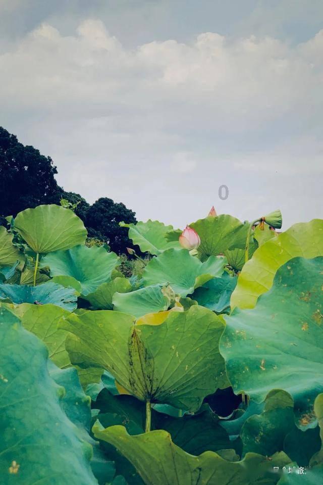 行尸走肉：第二季