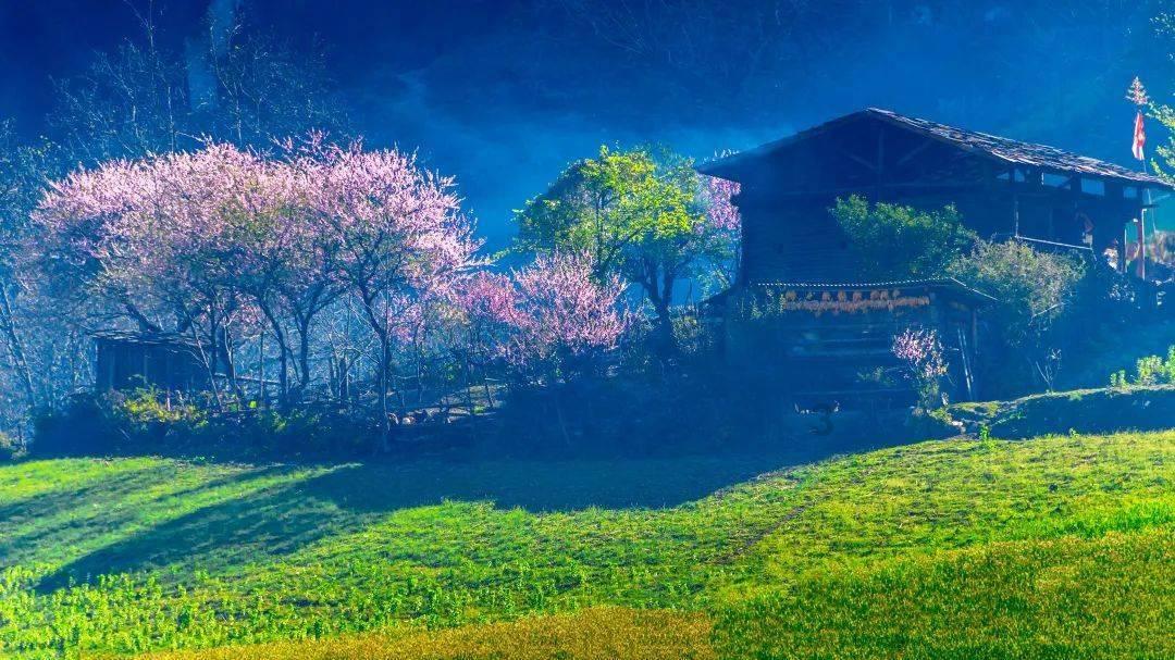 格莱美颁奖典礼