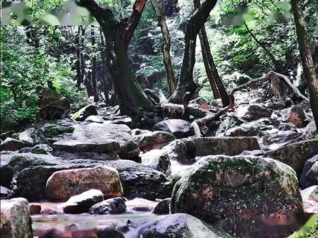 冒险家工会