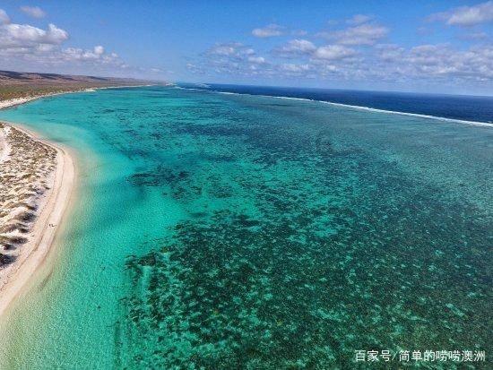 全民烧脑3去广告版