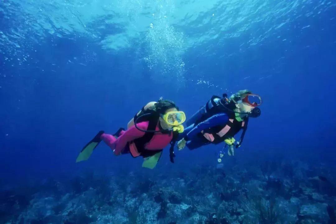 沪江开心词场