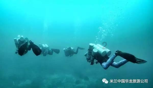 格斗巅峰大作战