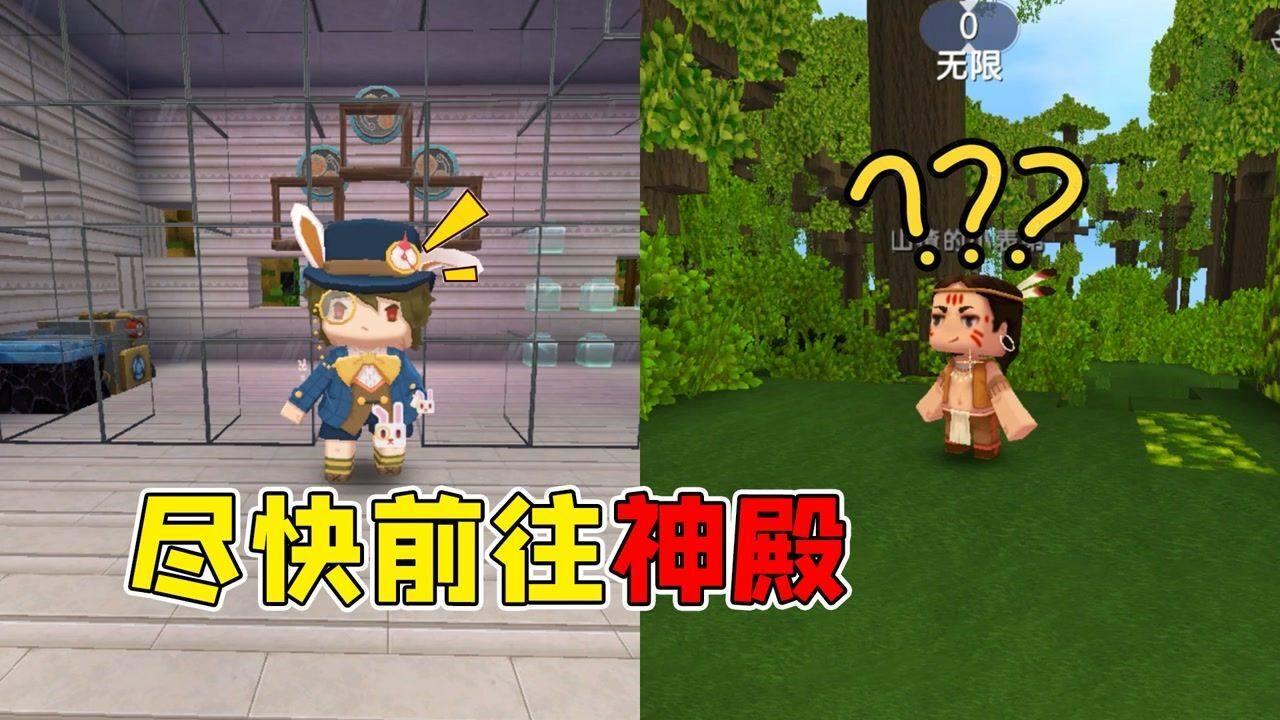 受困的西红柿