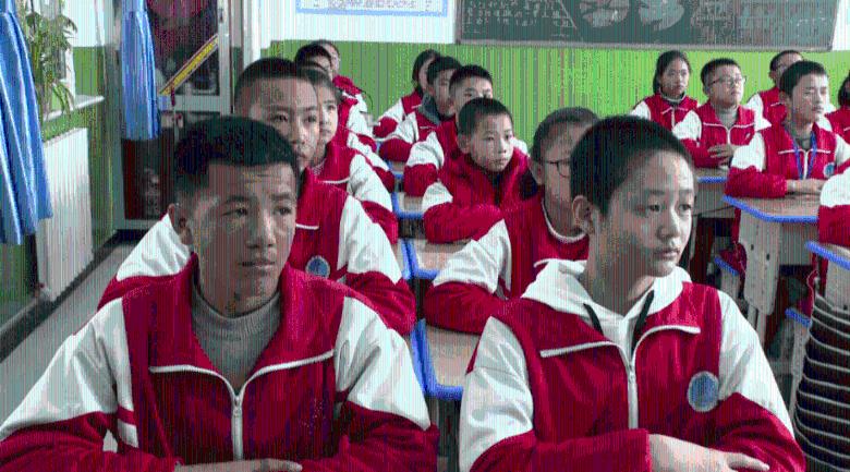 忍者鲨鱼