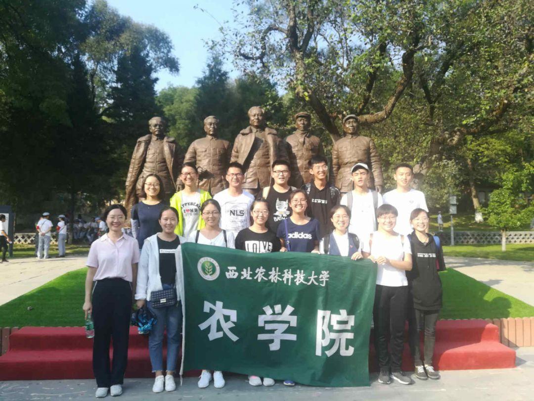 隔壁老王偷香记