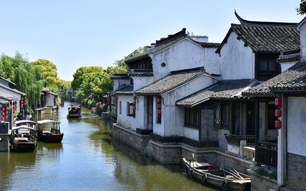 为何白发突然猛增?医生告诉你:不止是衰老,多半是缺这些营养