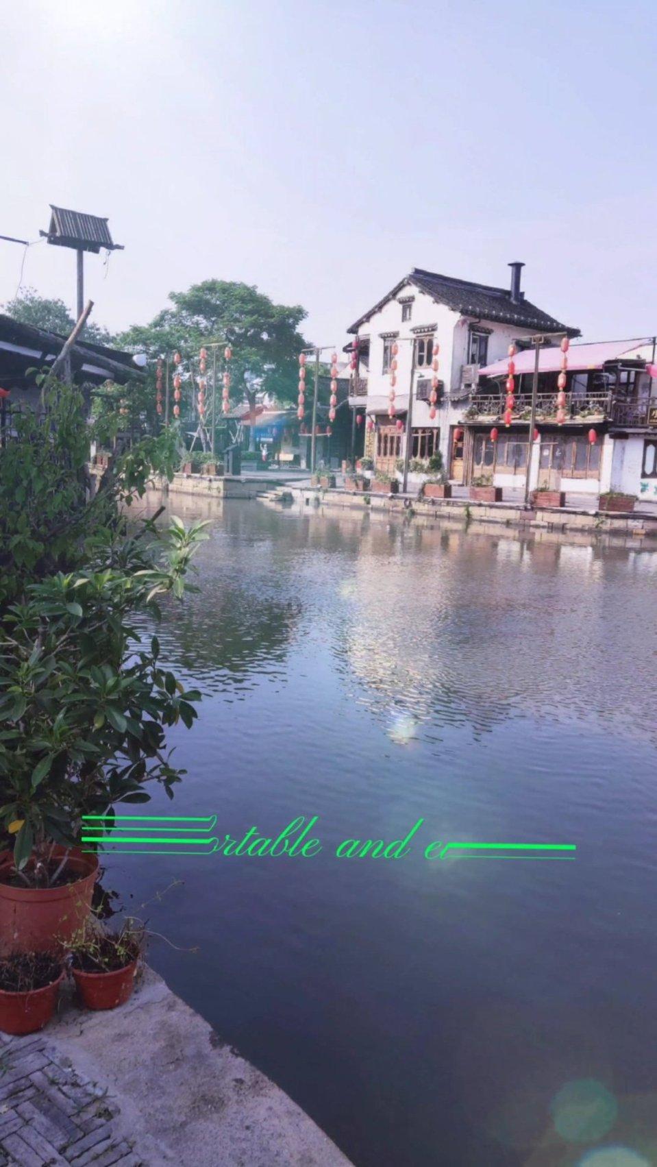虎胆熊威3